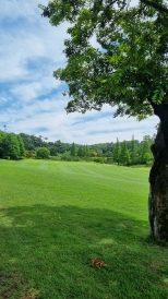 �ܵ���� ����,
�ڽ��� ���ڰ�
ĳ