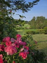 ��������� �� �Ǿ� �ְ� �ڽ����� �ƿ��� ��