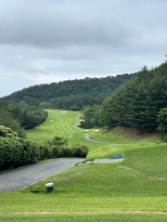 Ƽ�ױ׶��� ��Ʈ����. Ƽ�ױ׶��� ���� ��