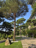 �������μ� ��� ����� ���� ���� ��������