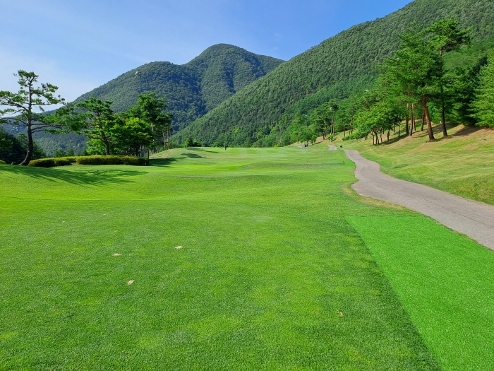 [�����븮] �̿��ı�