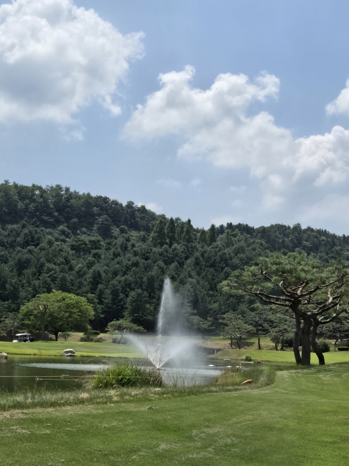 [�ݰ�] �̿��ı�