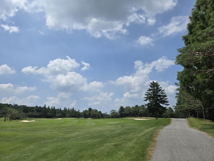 [�ݰ�] �̿��ı�