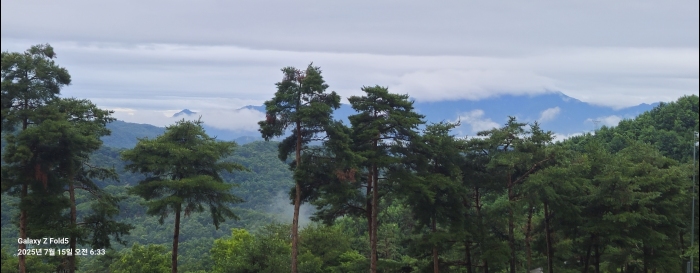 [����TPC] �̿��ı�