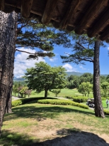  ���� �ѳ����� �����ϰ� �ÿ��ؼ� �λ����̾�