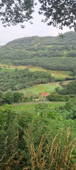 ������� �ڽ����� �� �Ǿ��ְ� �ü��� ���ƿ�