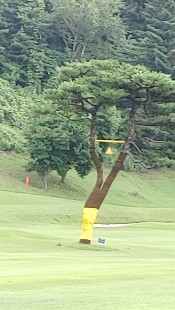 [�������] �̿��ı�
