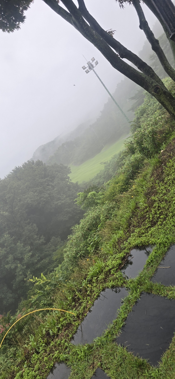 [������] �̿��ı�