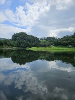 ���� 12��(��������)
�ڽ��������� �ֻ�