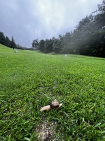 ���� �ְ� ������ �÷��̰� ������ �� �ָ��