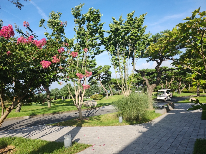 [�ݰ�] �̿��ı�