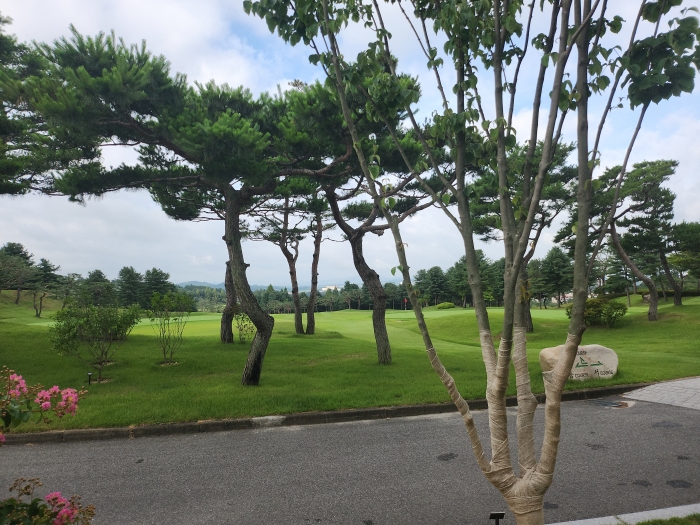 [�ݰ�] �̿��ı�