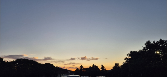 [������] �̿��ı�