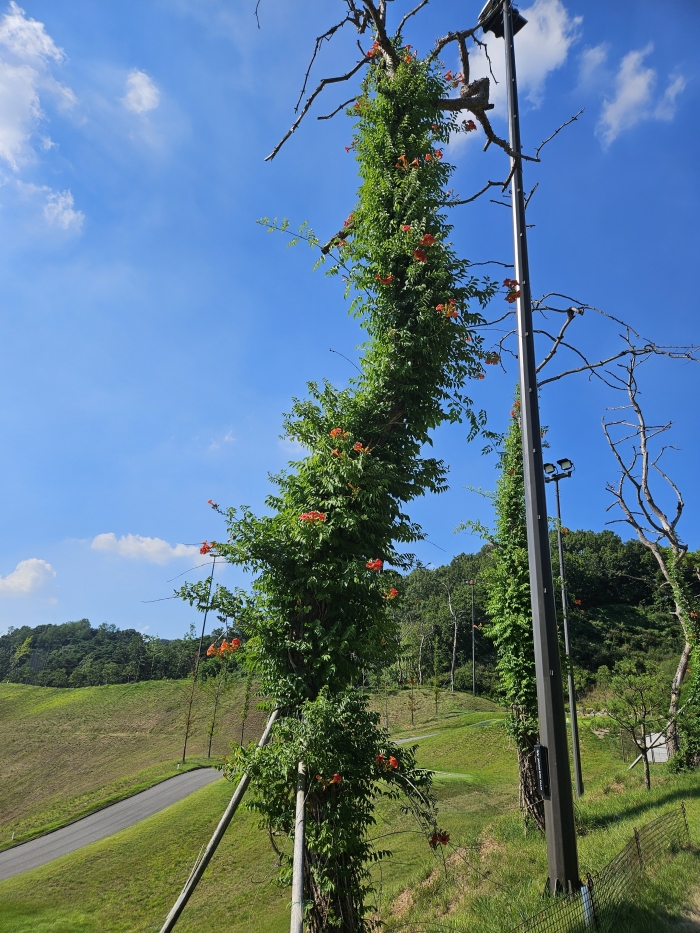 [����������] �̿��ı�