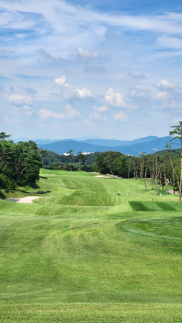 [����ũ���̵�] �̿��ı�