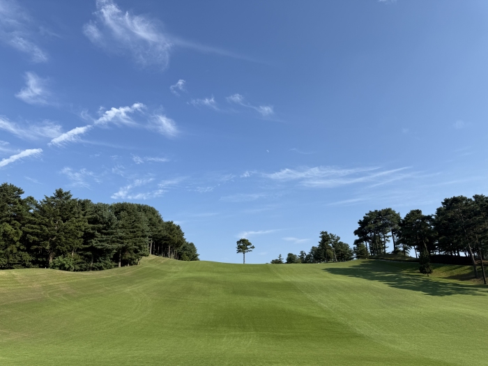 [�Ѽ�] �̿��ı�