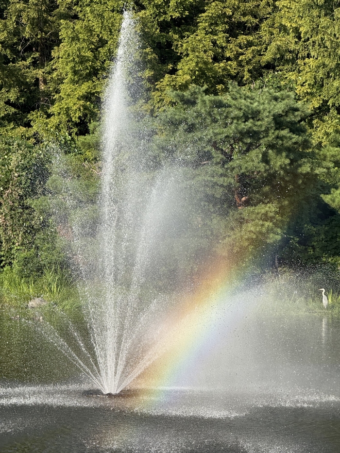 [�Ѽ�] �̿��ı�