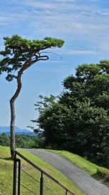 ������� �����̻��¿� �׸����� ������ҽ�