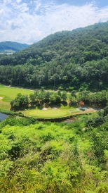 �ڽ���ٷӰ� ��� ������ �ߵ������ƴ�.
Ư