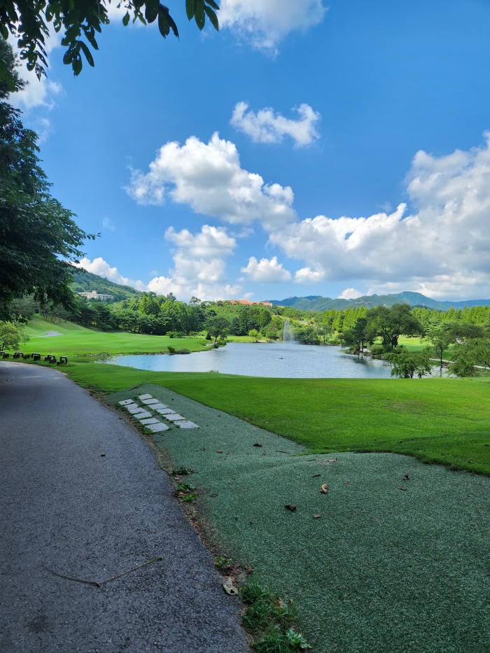 [����] �̿��ı�