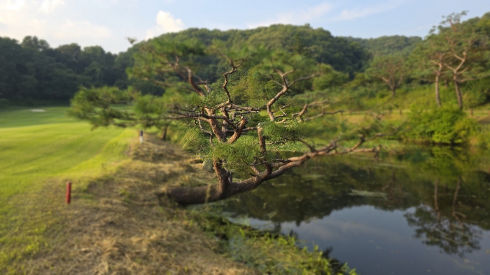 [������] �̿��ı�