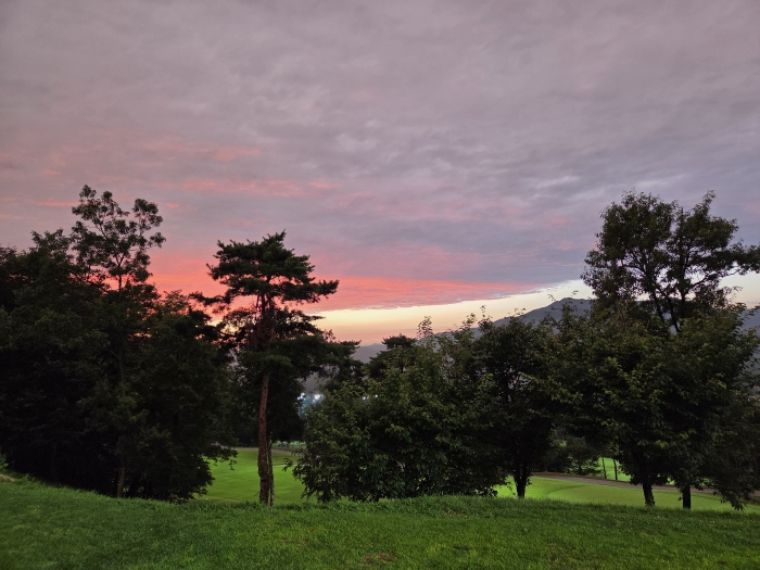 [�ξ�����] �̿��ı�