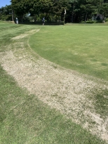 ���ڽ� in ���´� �׸��� ���������� �� ��