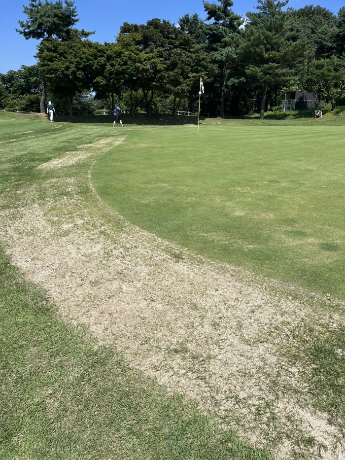 [88] �̿��ı�