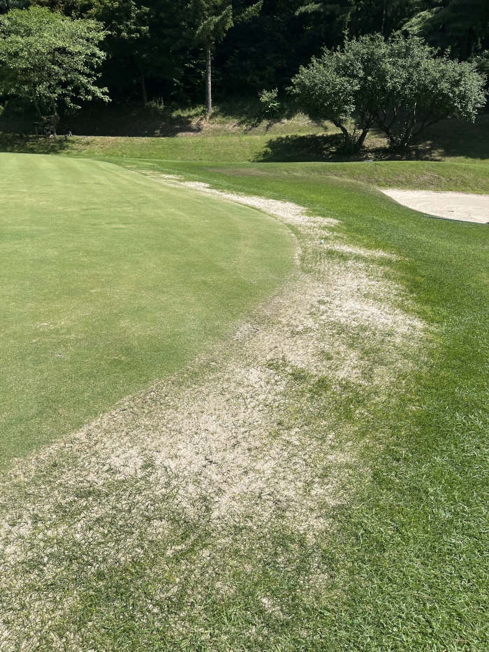 [88] �̿��ı�