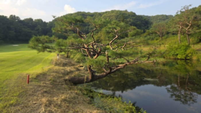 [������] �̿��ı�