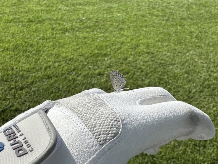 [����Ŭ��Q(�� �ȼ�Q)] �̿��ı�