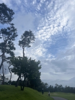 �� ������ �ָ� ��ȸ�� �׸��� 30����
ȸ