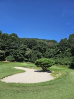 ������ ����. ������ ��. �״��� ����