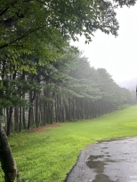 �񰡿ͼ� ���� �ӻ������� 
��ġ �Ϻ��� ��