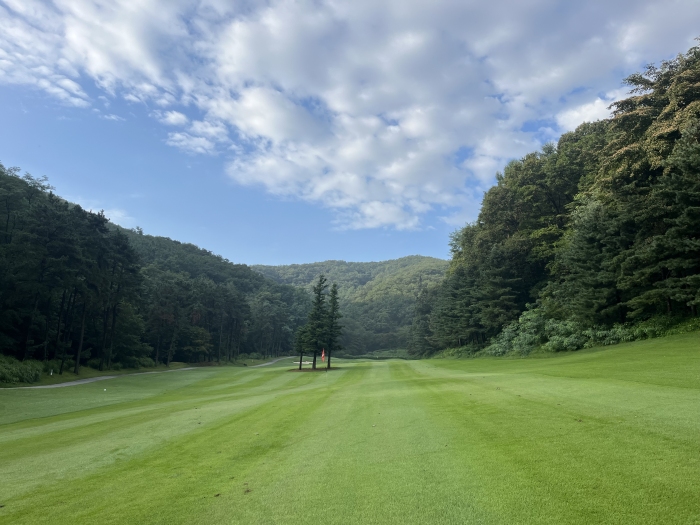 [��������] �̿��ı�