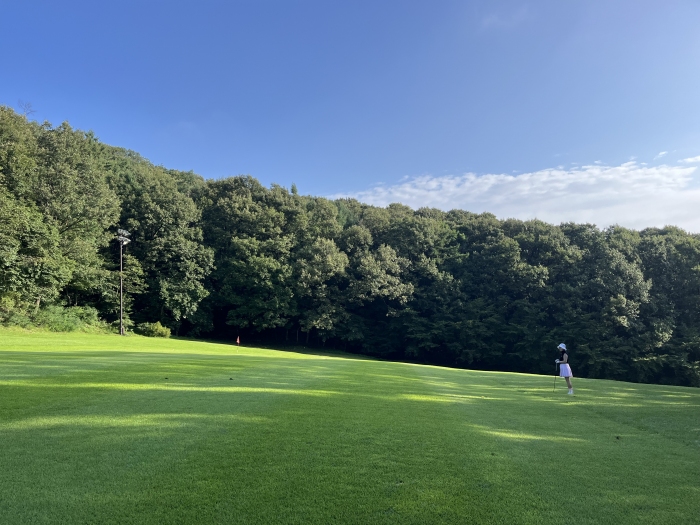 [��������] �̿��ı�