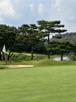 ������ ���� �׸��Ǹ� �� �θ� ��¥ ���ְ���