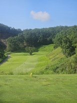 ������ ���Ұ͵� ���� �׸�,�ڽ�������