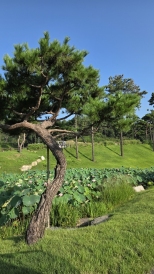 �����������Դϴ� �̻ڰ� ������ ��...