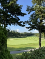 �ڽ��ܵ� ���� ���� �����ϴ� 
�׸��� ����