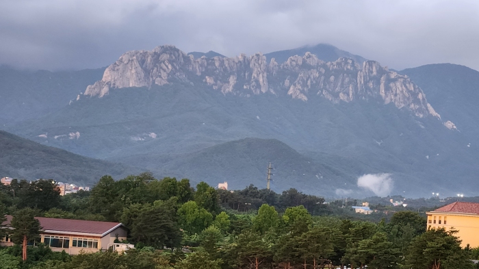 [�ö��ڼ���] �̿��ı�