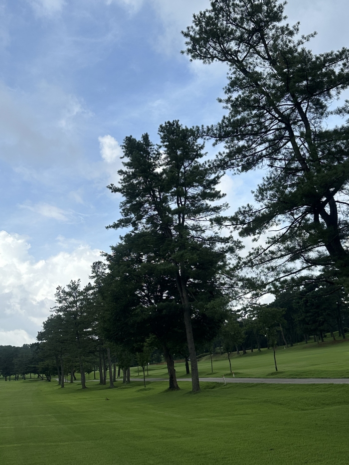 [�Ѿ�] �̿��ı�