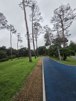 �� ���Ҿ��. �� ������...