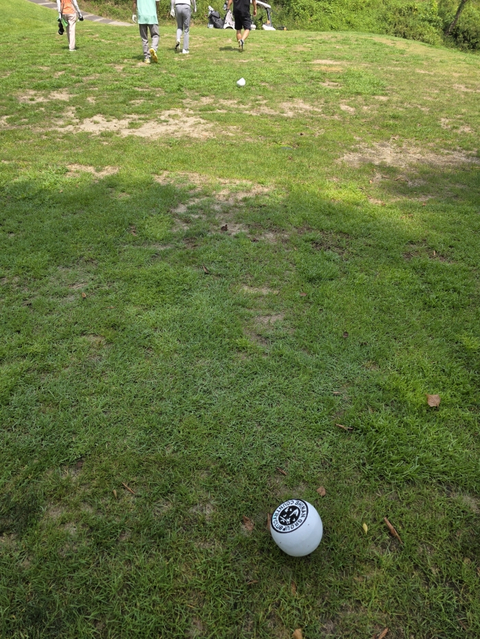 [�ž�] �̿��ı�