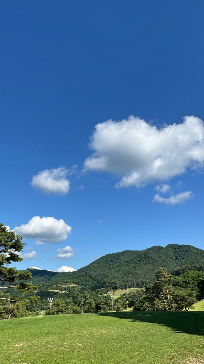 [�����ʵ�] �̿��ı�