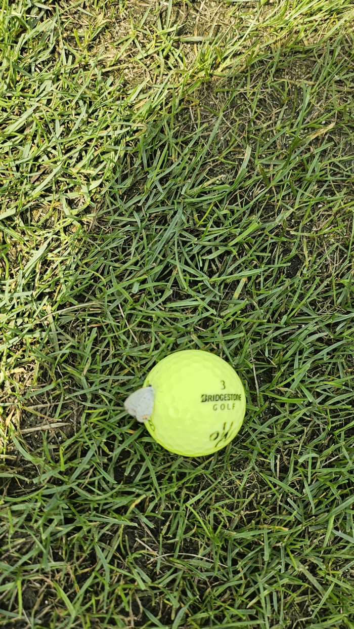 [ĳ������] �̿��ı�