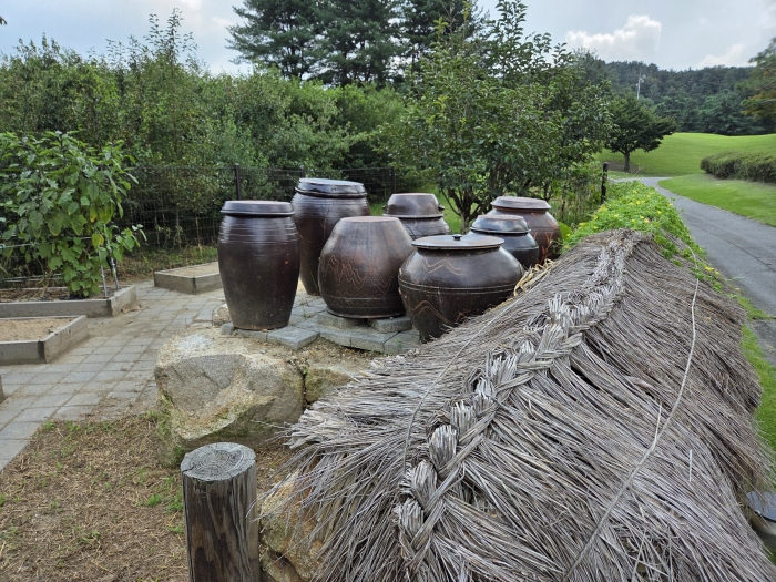 [����] �̿��ı�