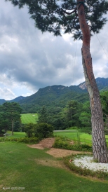 �쿬�� �˰Ե� XGOLF�� ���� ���
����