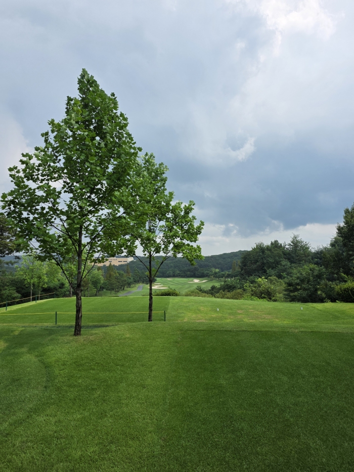 [�ݰ�] �̿��ı�