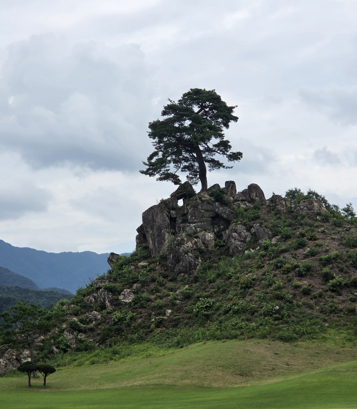 [����] �̿��ı�